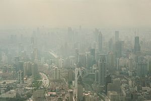 What Made Chinese Mayors Step Up Pollution Fight?