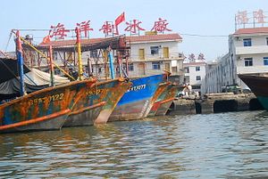 China Must Join the War on Illegal Fishing