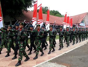 China-Indonesia Military Ties in Focus With Defense Industry Meeting