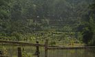 Militancy Strikes Back In India's Northeast Militancy Strikes Back In India's Northeast