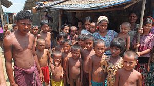 A Rational Approach to the Rohingya Crisis