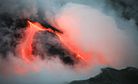 Sharks in a Volcano: Why You Should Care