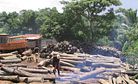 China: The Cause of (and Solution to?) Illegal Logging