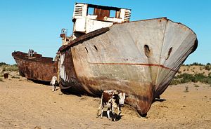 Central Asia Must Unite to Revive the Aral Sea