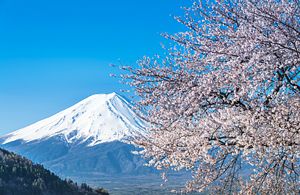 Moderating Japan’s UNESCO Policy