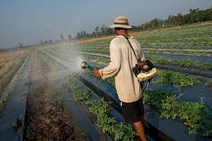 The Toxicity of Agriculture