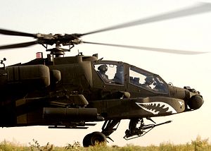 Indian Army to Buy 11 US Heavy Attack Helicopters