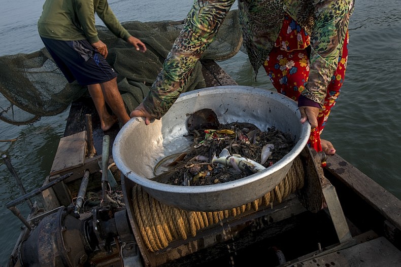 Plastic is mixed in with each net of fish. In some cases, the amount of plastic debris outnumber the fish. Throughout Vietnam's Mekong delta, locals report drastic decreases in the numbers of fish being caught in the river. Photo by Luc Forsyth.