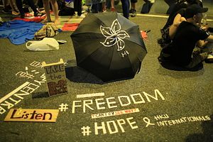 Hong Kong: An Attack on the ‘One Country, Two Systems’ Principle