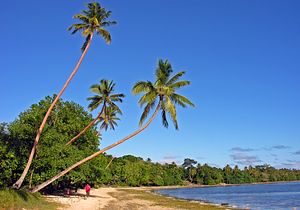 A Southern Pacific Base for the Chinese Navy in Vanuatu?