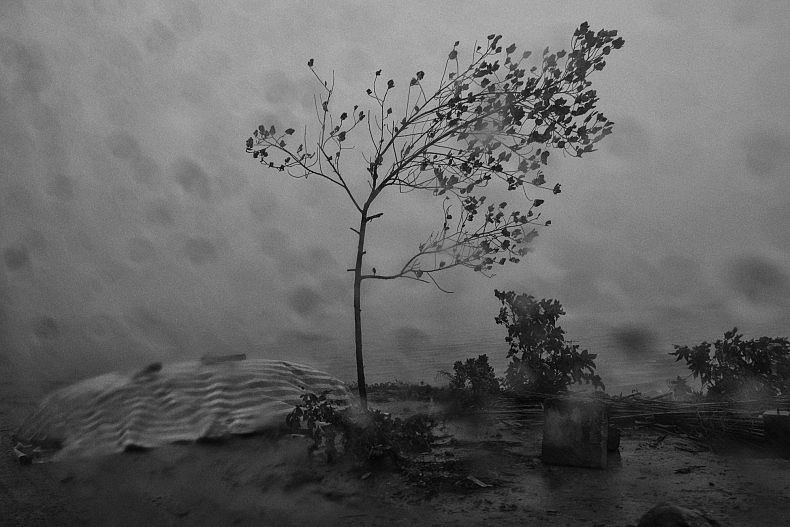 A small tree stands strong against the monsoon rains in the village of village of Khpob Ateav on the banks of the Mekong in Cambodia. Photo by Gareth Bright.