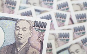 What to Make of Japan&#8217;s New Negative Interest Rate