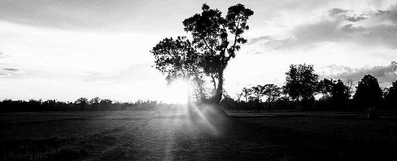 Sun through the trees near the remote village of Kbal Romeas. Photo by Gareth Bright.