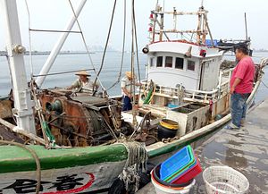 Taiwan&#8217;s Illegal Fishing Is &#8216;Out of Control&#8217;