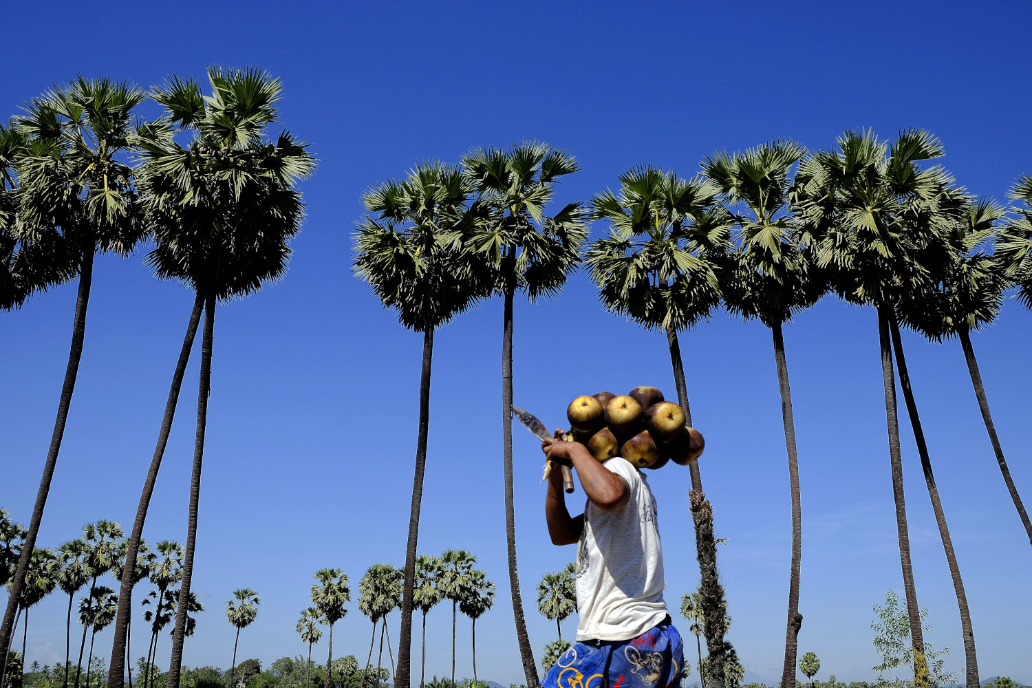 Myanmar: The Dawei Special Economic Zone | The Diplomat