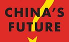 David Shambaugh on China's Future