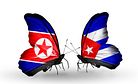 The North Korea-Cuba Connection