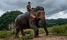 Laos: The Land of a Million Elephants