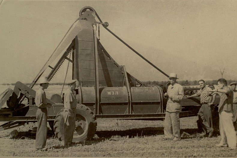 Crop harvesting in a Korean kolkhoz in the late 1950s. Courtesy of Victoria Kim.