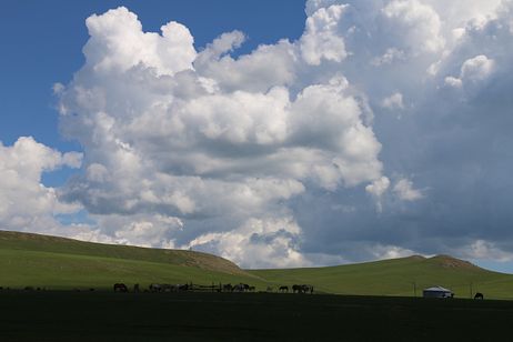 The Herding Life in Mongolia