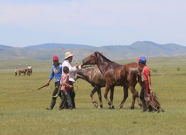 The Herding Life in Mongolia – The Diplomat