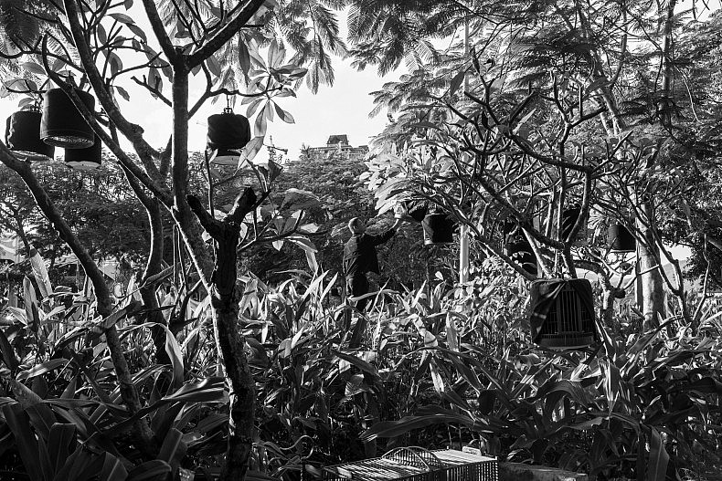 Men gather to smoke tobacco and look at singing birds in a public park in Xishuangbanna, China. Photo by Gareth Bright.