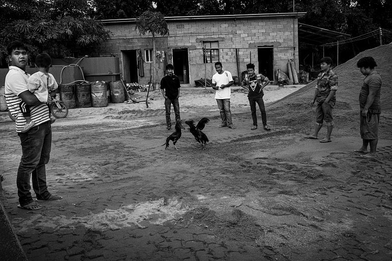 The crew of a sand dredging vessel watch a cock fight at the end of their workday. Photo by Gareth Bright.