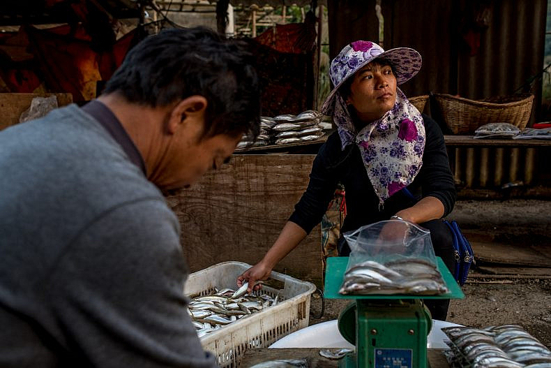 Fish vendors sort their catch at a local market in Jinglin, Yunnan province, China. Photo by Luc Forsyth.