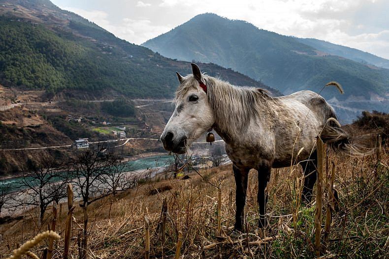 A horse grazes on the mountain sides overlooking the village of Xialuoga. Photo by Luc Forsyth.