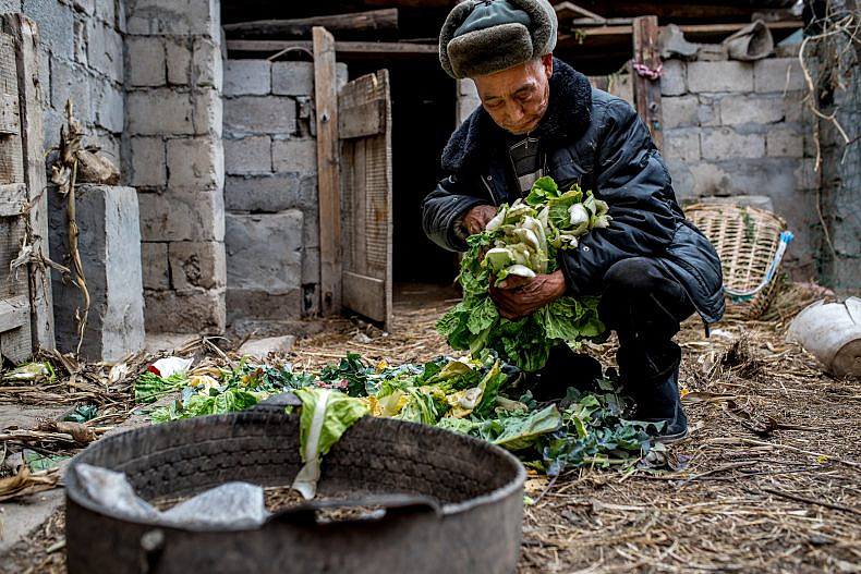 Chao Yunsheng, 78, prepares vegetables to feed to his livestock in the village of Xialuoga. Photo by Luc Forsyth.
