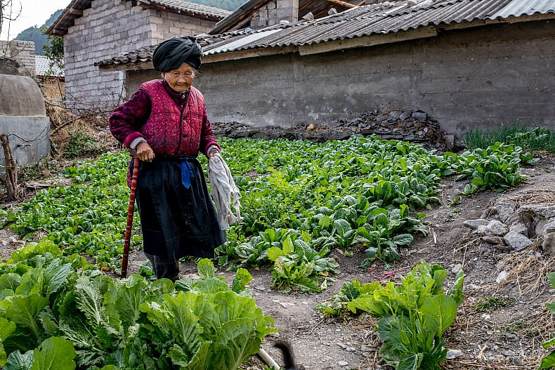 An elderly woman tends to her vegetable plot in the village of Xialuoga. Photo by Luc Forsyth.
