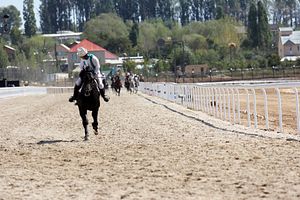 Spectacle and Sport at the World Nomad Games Spectacle and Sport at the World Nomad Games