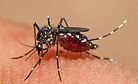 Chikungunya and Dengue Cause Health Scare in India’s Capital