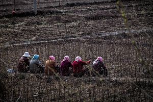 China’s Lost Generation: Rural Youths