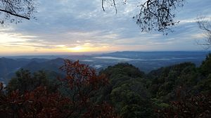 Hadabuan Hills: The Forgotten Rainforest of Sumatra