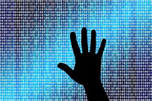 Data Brokers: A Weak Link in National Security