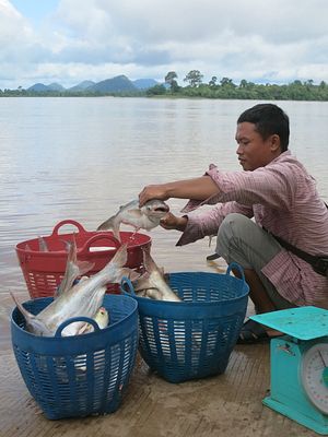 Killing the Mekong, Dam by Dam