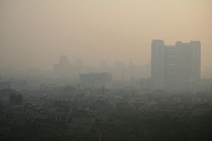 How Can New Delhi Solve Its Smog Problem?