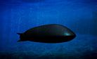 Russia Tests Nuclear-Capable Underwater Drone
