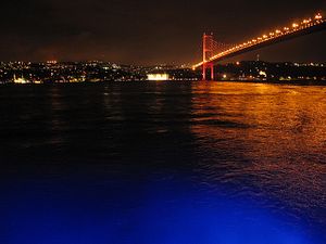 Jumping to Conclusions: Erroneous Claims of Kyrgyz Attacker in Istanbul&#8217;s Reina Club Attack