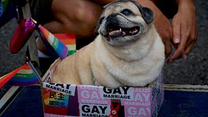 Same-Sex Marriage in Taiwan