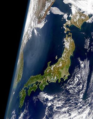 Does Japan Have a Global Environmental Strategy?