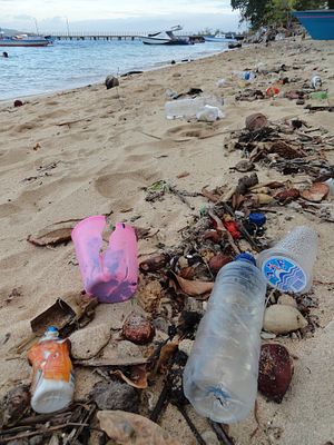 Oceans of Plastic: Fixing Indonesia’s Marine Debris Pollution Laws