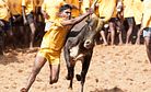 How Jallikattu Came to Be Linked With the Idea of 'Being Tamil' in India