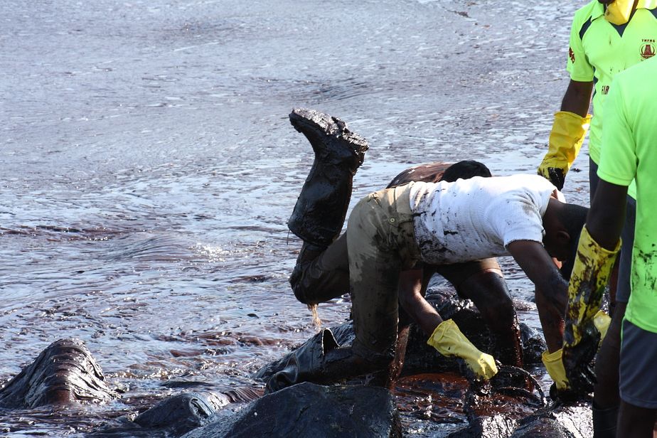 The Great Chennai Oil Spill Clean Up The Diplomat