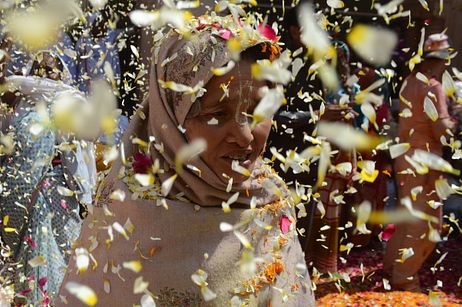 Bringing Color to the Widows of Vrindavan