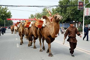 The Silk Roads, Past and Future