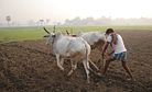 Indian Farmers Protest, Seeking Drought Relief