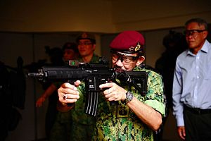 Singapore-Brunei Defense Ties in Focus with Army Exercise