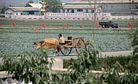 Sanctions and North Korea's Precarious Food Security